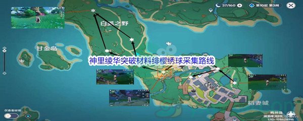 《原神》神里绫华突破材料绯樱绣球采集路线汇总