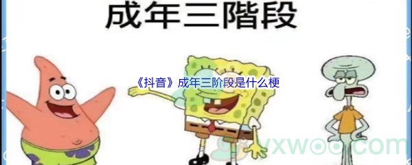 成年三阶段是什么梗