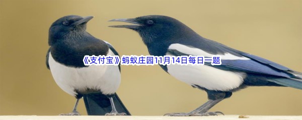 2022《支付宝》蚂蚁庄园11月14日每日一题答案