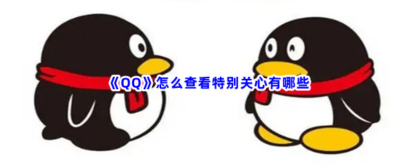 《QQ》怎么查看特别关心有哪些