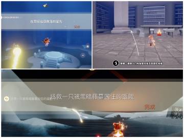 2022《sky光遇》11月23日每日任务攻略