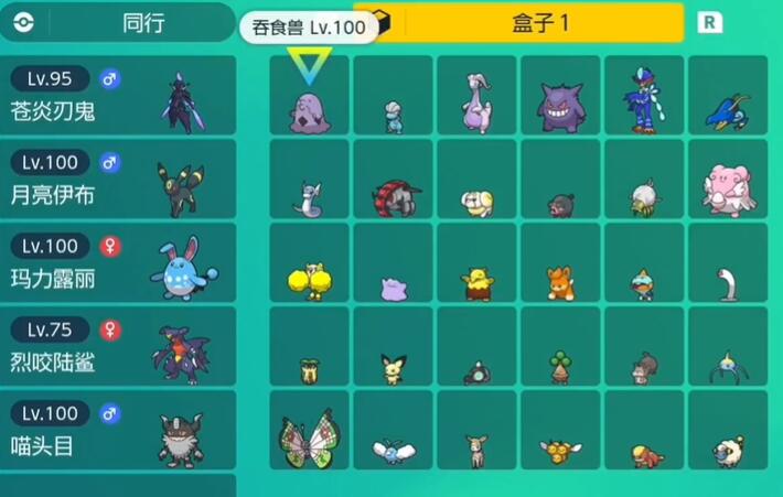 《宝可梦朱紫》宝可梦的个体值怎么锻炼