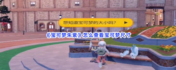 《宝可梦朱紫》怎么查看宝可梦尺寸