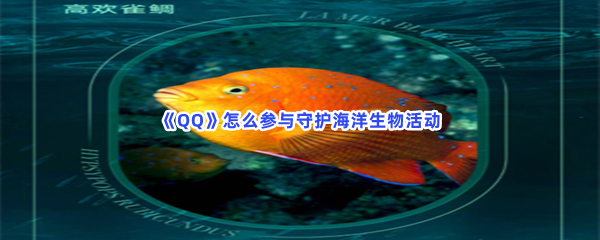 《QQ》怎么参与守护海洋生物活动