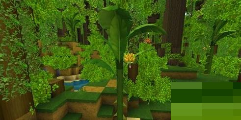 《迷你世界》香蕉树苗怎么获得