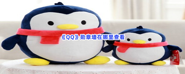 《QQ》勋章墙在哪里查看