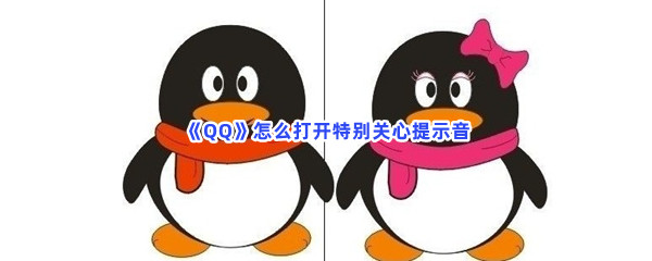 《QQ》怎么打开特别关心提示音