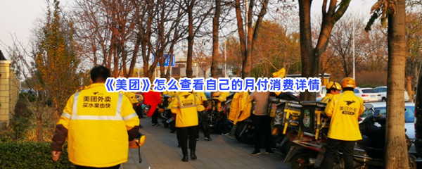 《美团》怎么查看自己的月付消费详情