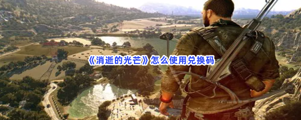 《消逝的光芒》怎么使用兑换码