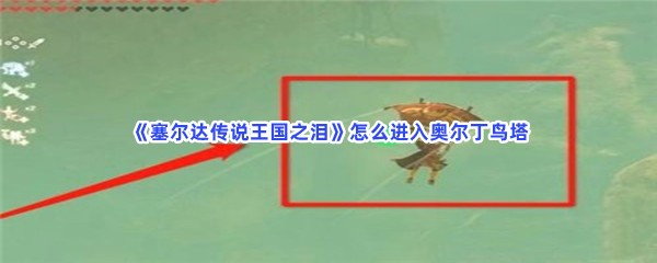 《塞尔达传说王国之泪》怎么进入奥尔丁鸟塔