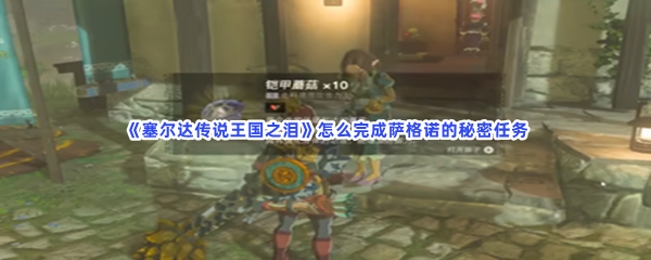 《塞尔达传说王国之泪》怎么完成萨格诺的秘密任务