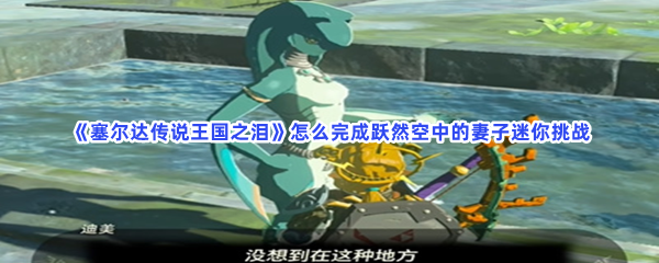 《塞尔达传说王国之泪》怎么完成跃然空中的妻子迷你挑战