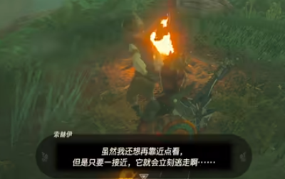 《塞尔达传说王国之泪》怎么完成乘在妖兽上的公主任务
