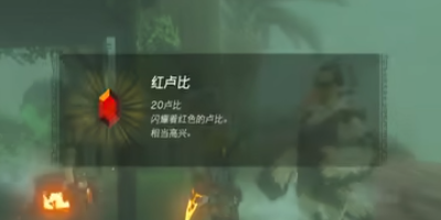 《塞尔达传说王国之泪》怎么完成乘在妖兽上的公主任务