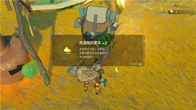 《塞尔达传说王国之泪》怎么获得克洛格果实