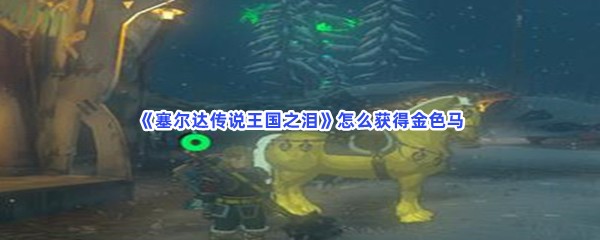 《塞尔达传说王国之泪》怎么获得金色马