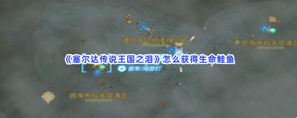 《塞尔达传说王国之泪》怎么获得生命鲑鱼