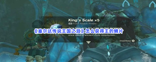《塞尔达传说王国之泪》怎么获得王的鳞片