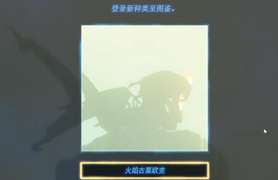 《塞尔达传说王国之泪》怎么获得古栗欧克的布料