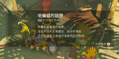 《塞尔达传说王国之泪》怎么获得电蝙蝠的翅膀