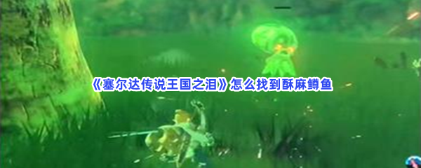 《塞尔达传说王国之泪》怎么找到酥麻鳟鱼