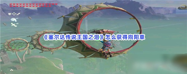 《塞尔达传说王国之泪》怎么获得向阳草