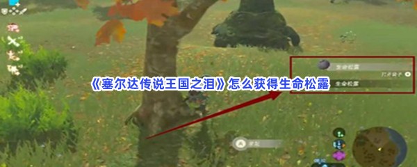 《塞尔达传说王国之泪》怎么获得生命松露