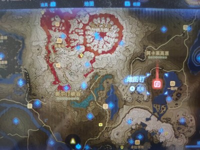 《塞尔达传说王国之泪》怎么获得生命松露