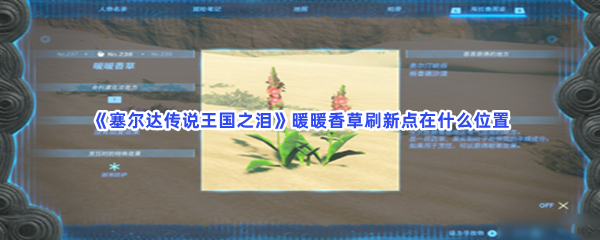 《塞尔达传说王国之泪》暖暖香草刷新点在什么位置