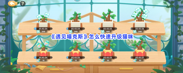 《遇见喵克斯》怎么快速升级猫咪