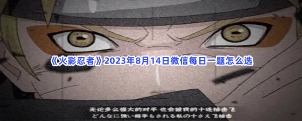 《火影忍者》2023年8月14日微信每日一题怎么选