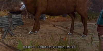 《博德之门3》怎么获得公牛对话小袋子
