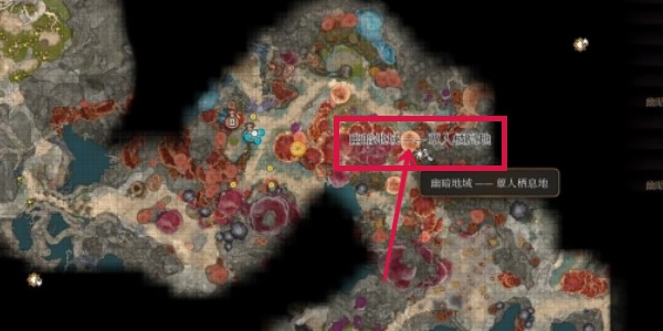 《博德之门3》怎么获取特效奥术滋养灵药