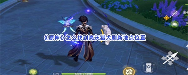 《原神》怎么找到亮灰猎犬刷新地点位置