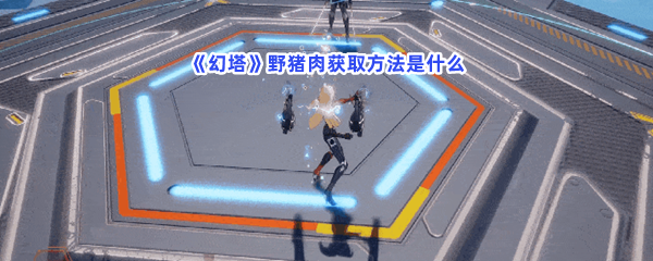《幻塔》野猪肉获取方法是什么