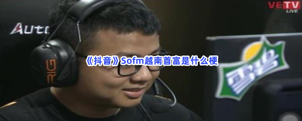 《抖音》Sofm越南首富是什么梗