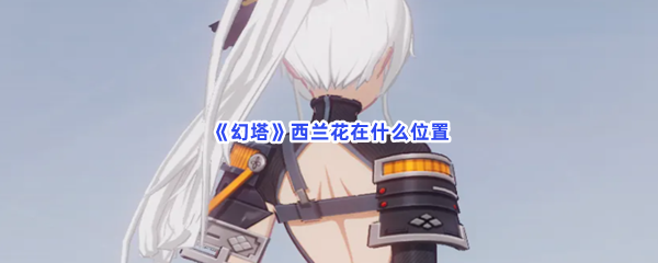 《幻塔》西兰花在什么位置