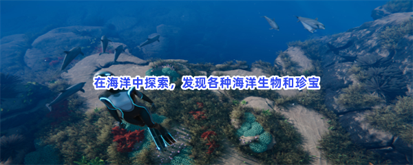 在海洋中探索，发现各种海洋生物和珍宝