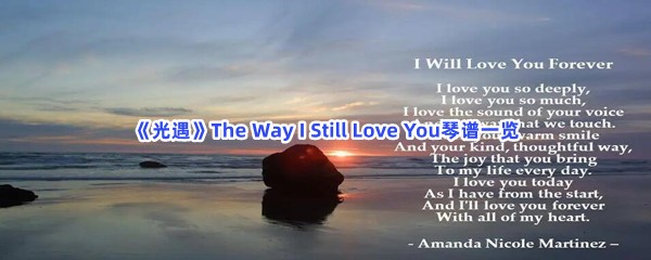 《光遇》The Way I Still Love You琴谱一览
