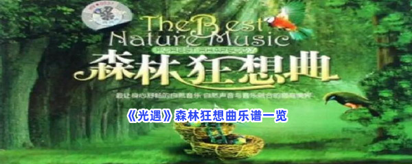 《光遇》森林狂想曲乐谱一览