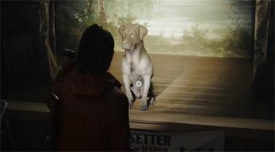 《心灵杀手2》塞特市长护身符在什么位置？狗狗位置分享