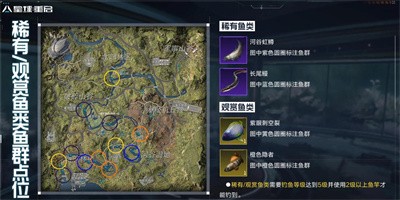 《星球重启》超简单钓稀有鱼方法是什么？不知道稀鱼位置的快来看吧!