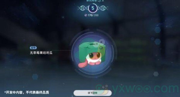 《崩坏：星穹铁道》1.6异宠拾遗活动攻略大全！领星琼的活动怎么能错过呢