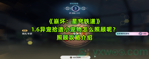 《崩坏：星穹铁道》1.6异宠拾遗小宠物怎么照顾呢？照顾攻略介绍