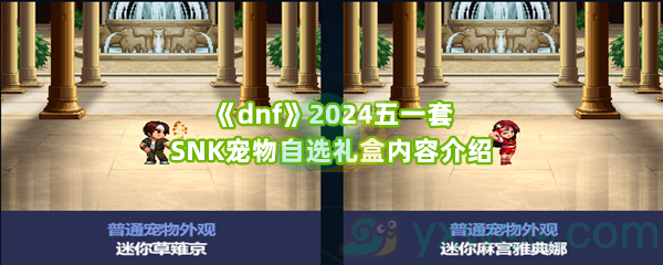 《dnf》2024五一套SNK宠物自选礼盒内容介绍