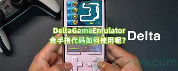 DeltaGameEmulator金手指代码如何使用呢？