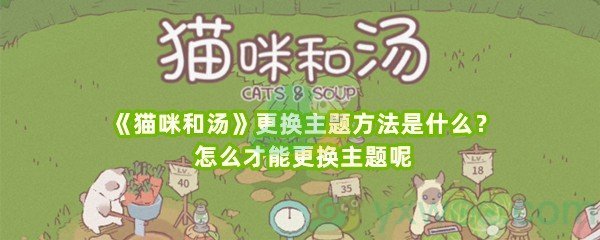 《猫咪和汤》更换主题方法是什么？怎么才能更换主题呢