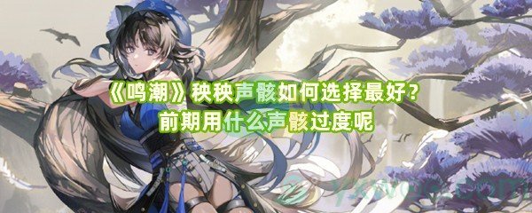 《鸣潮》秧秧声骸如何选择最好？前期用什么声骸过度呢