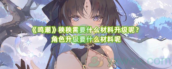 《鸣潮》秧秧需要什么材料升级呢？角色升级要什么材料呢