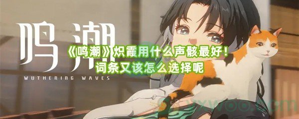 《鸣潮》炽霞用什么声骸最好！词条又该怎么选择呢